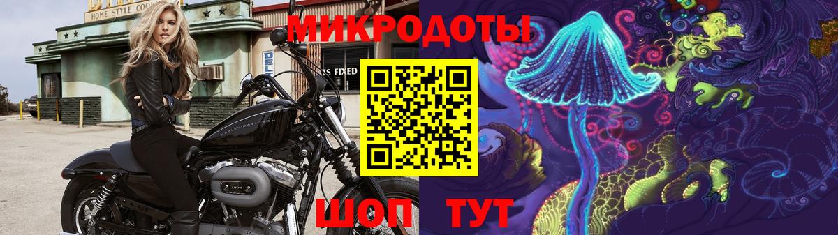 Волгодонск  Галлюциногенные грибы GOLDEN TEACHER  Вход с VPN 