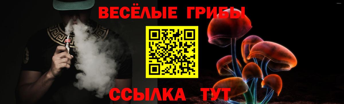 Галлюциногенные грибы Psilocybine cubensis Волгодонск
